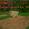 CanopyLeopard.png