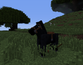 A Black "Tier II" Horse