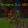 Ginseng(Appearance1).png