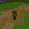 TropicalMonkey.png