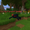 YoungForestSpider.png