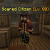 ScaredCitizen.png