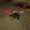 YoungWolfSpider.png