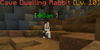 CaveDwellingRabbit.png