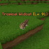 TropicalWildcat.png
