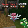 BoundSpirit(VisitfromBeyond).png